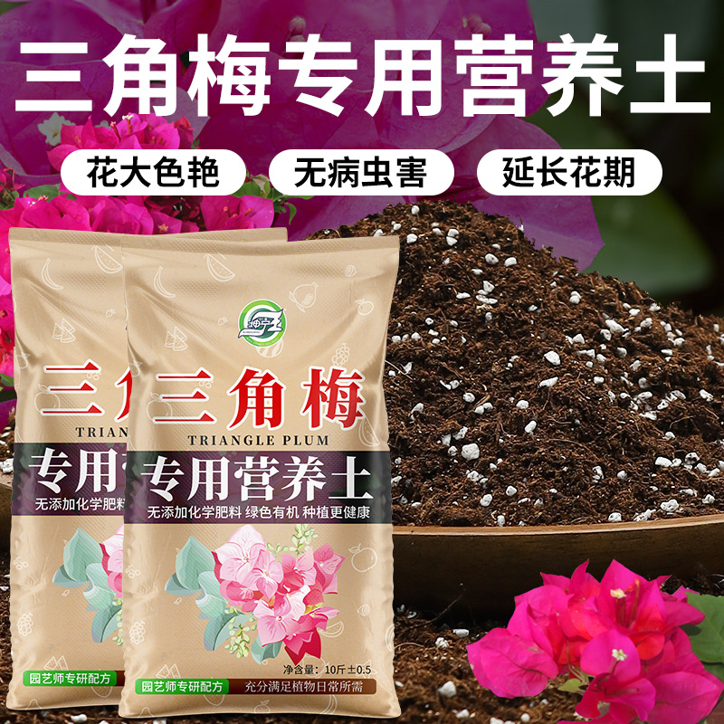 三角梅专用土营养土花色好花期长