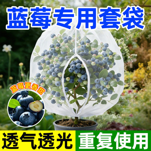 蓝莓果树透明防虫防鸟网罩