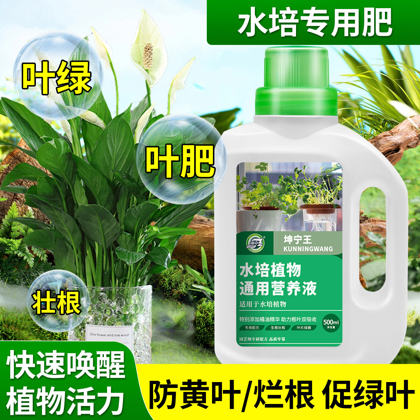 水培植物通用型营养液500ml防黄叶生根促绿叶叶面肥液体肥叶面肥,鲜花速递/花卉仿真/绿植园艺,家庭园艺肥料,淘宝优惠券,粉丝福利购,淘宝优惠卷