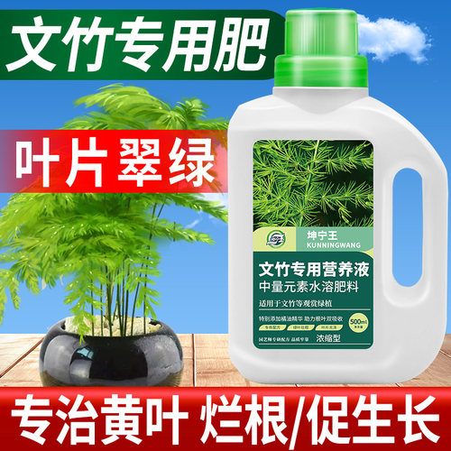 坤宁王文竹营养液专用型