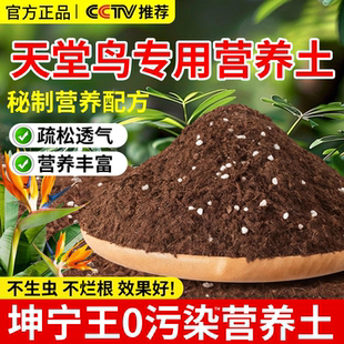 天堂鸟专用土营养土绿植盆栽泥土种植土壤透气不板结家用有机土壤