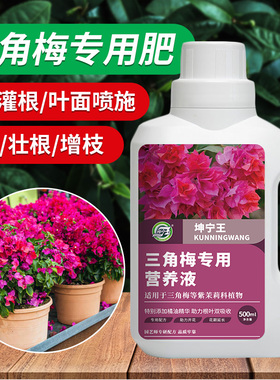 三角梅肥料专用肥植物营养液梅花盆栽家用花卉养花促开花腊梅通用
