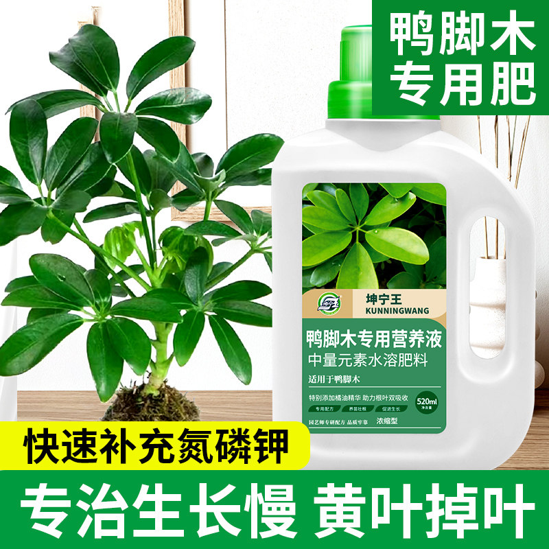 鸭脚木专用肥料营养液鹅掌木鸭掌柴室内外绿植盆栽家庭专用营养液,鲜花速递/花卉仿真/绿植园艺,家庭园艺肥料,淘宝优惠券,粉丝福利购,淘宝优惠卷