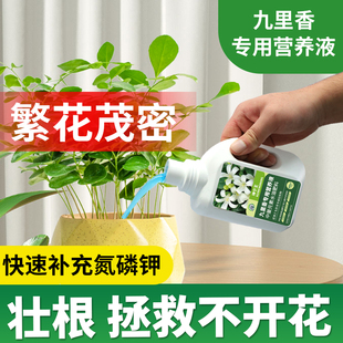 九里香肥料专用营养液水培九里香专用肥室内盆栽植物专用水溶肥料