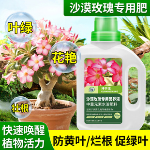 沙漠玫瑰专用植物营养液促开花壮根防掉叶多肉专用肥料爆花延花期