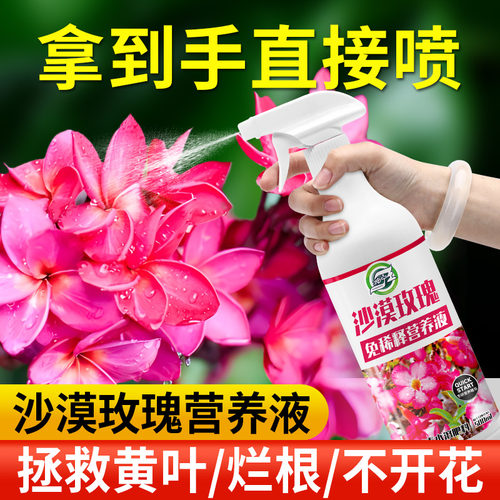 沙漠玫瑰免稀释营养液防掉叶催花