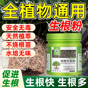 快速生根粉植物通用扦插专用强力生根粉生根粉树生根粉吲哚乙酸