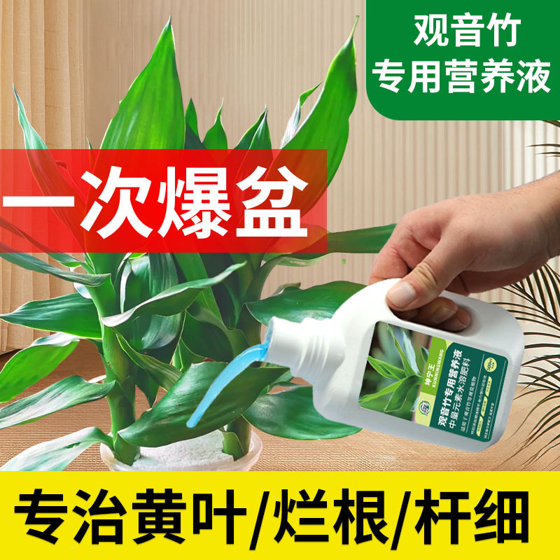 观音竹专用肥料营养液专治枯叶黄叶富贵竹水培植物营养液专用肥料
