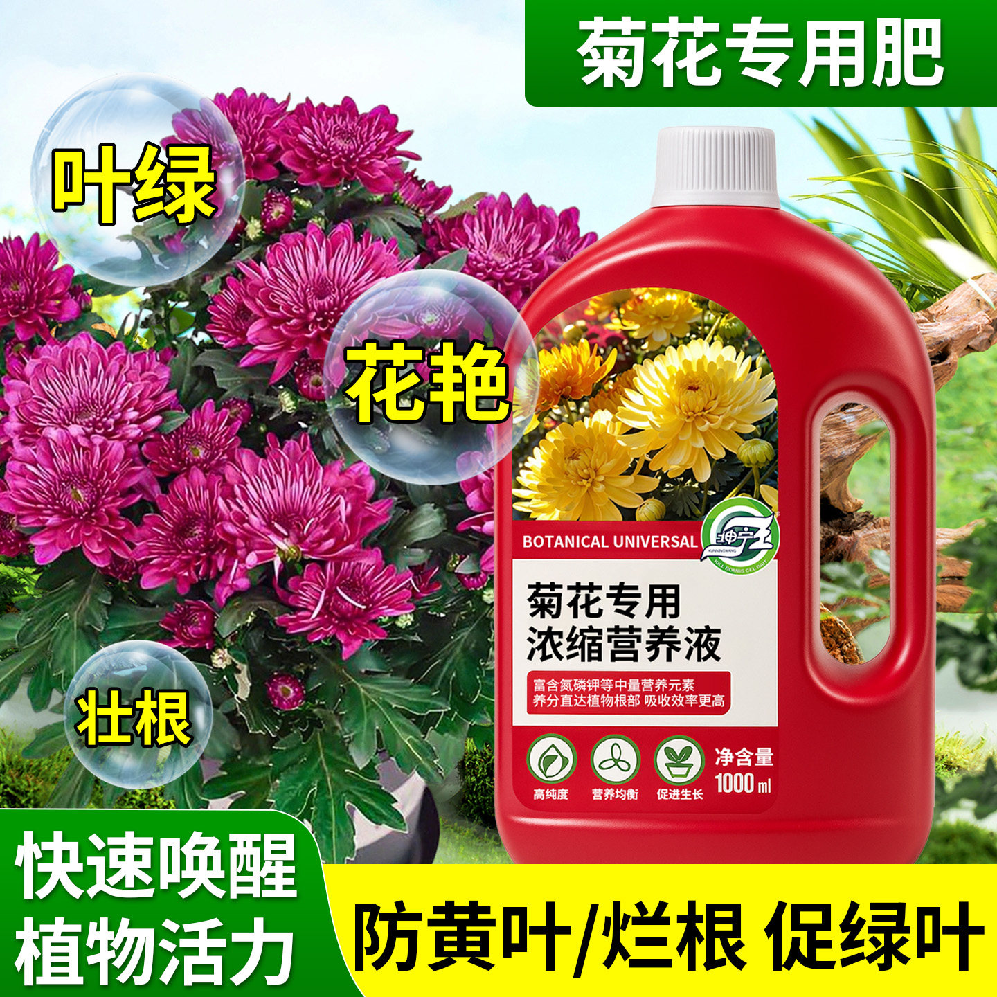 菊花专用营养液促开家用花卉专用图片