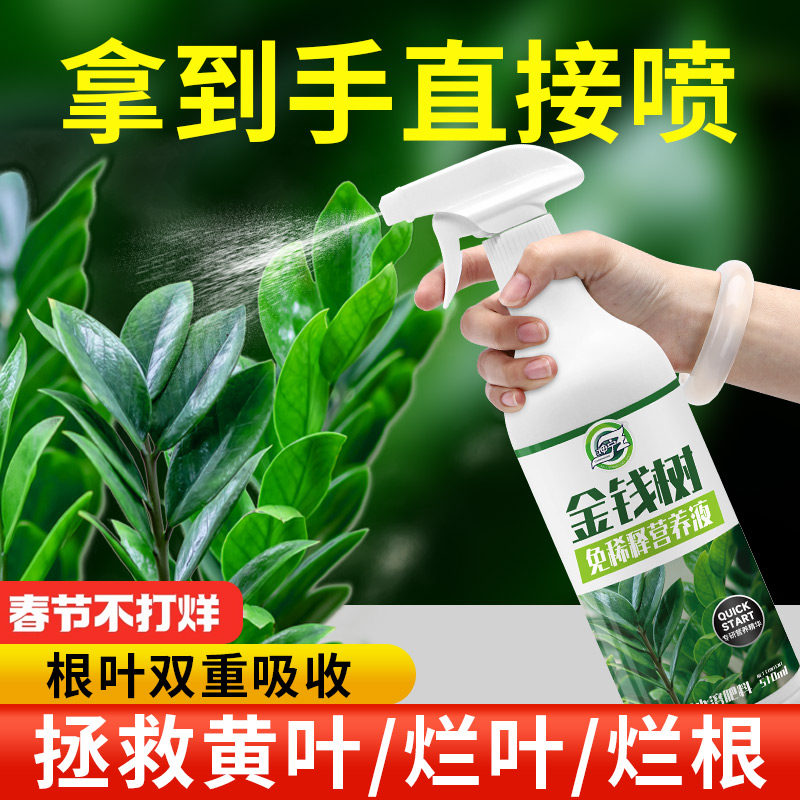 免稀释金钱树专用营养液家用花卉盆栽绿植物室内发财树叶面花肥料
