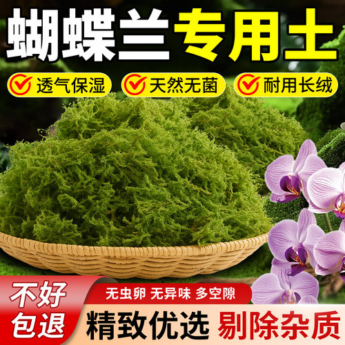 蝴蝶兰专用青苔干藓苔兰花石斛种植水苔专用土营养土植料乌龟水台