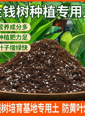 种金钱树专用土免施肥盆栽有机土