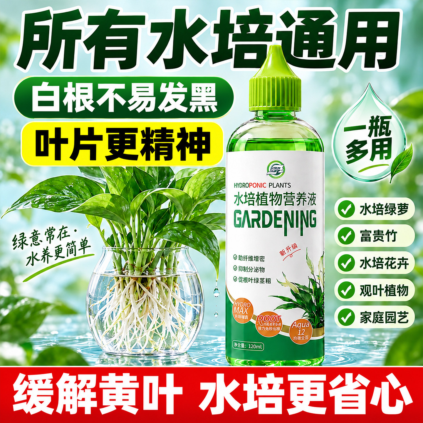 水培植物专用营养液富贵竹转运竹巴西木郁金香绿萝铜钱草通用肥料
