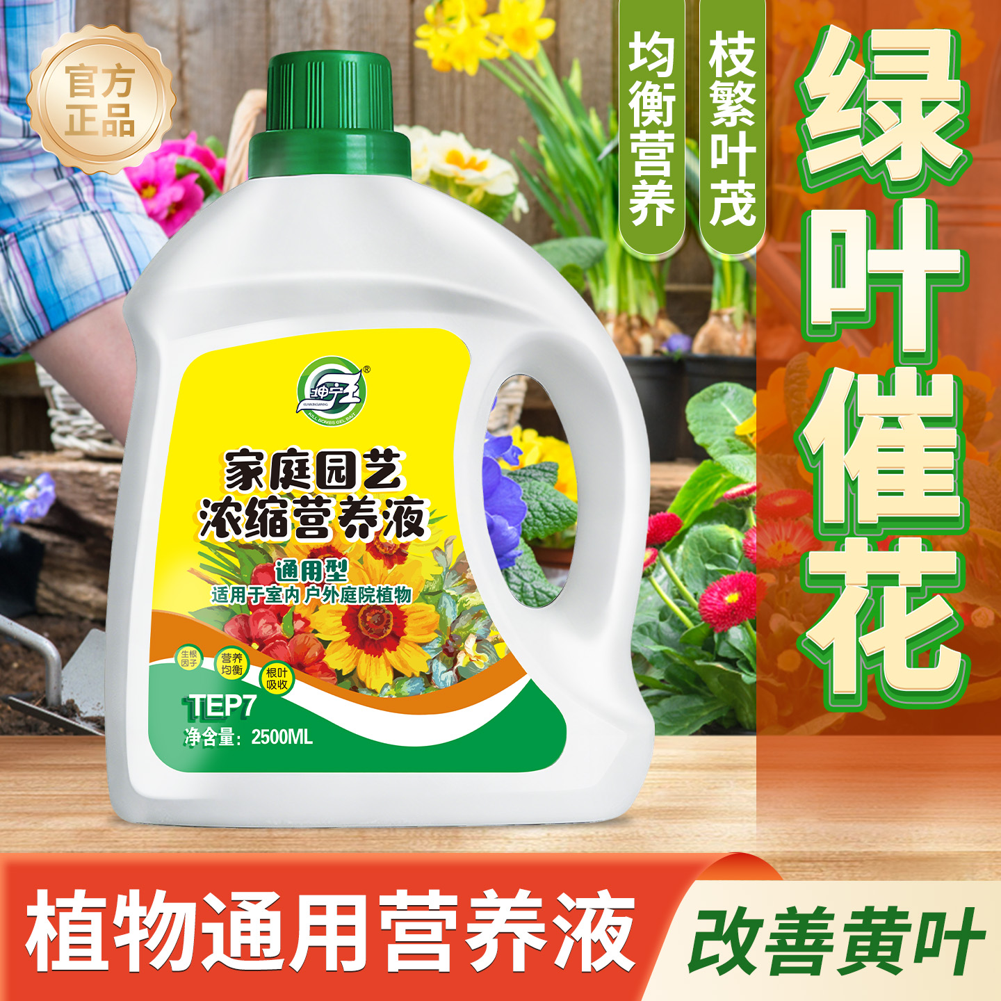 植物发财树富贵竹绿萝营养液