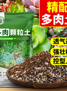 多肉专用颗粒土营养土种植土壤泥铺面石仙人球叶插家用花土通用型