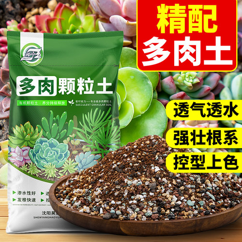 坤宁王多肉专用颗粒土进口热销