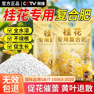 桂花专用复合肥料有机化肥氮磷钾三元肥桂花树盆栽花肥家用水溶肥