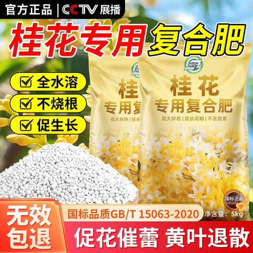 桂花专用有机肥盆栽家用四季通用