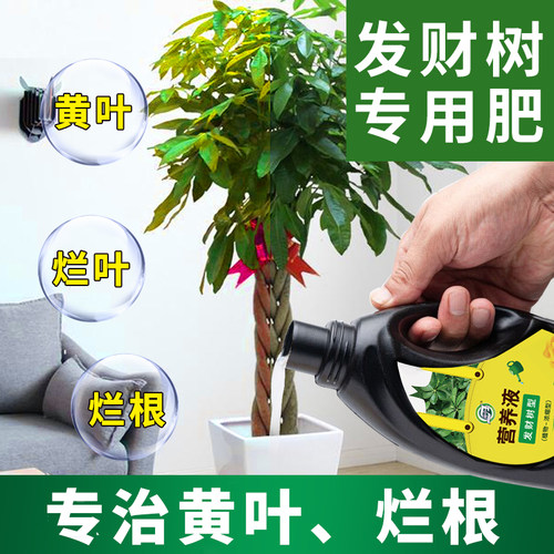 植物营养水销量排行榜 植物营养水品牌热度排名 小麦优选