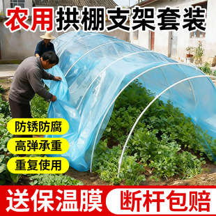 大棚支架拱杆玻璃纤维杆拱棚支架保温棚蔬菜棚支架菜地拱棚塑料膜