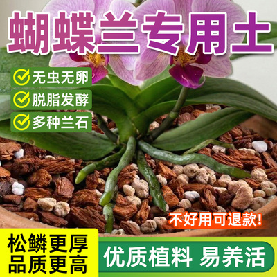 蝴蝶兰专用土松树皮植料君子兰通用颗粒种植土发酵腐熟兰科营养土
