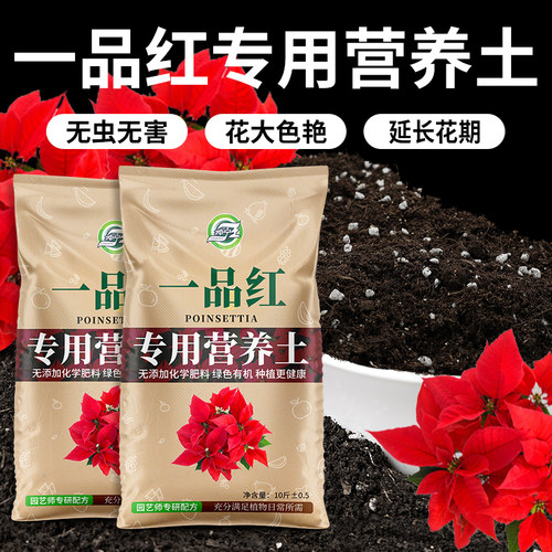 一品红专用营养土一品红栽培肥料