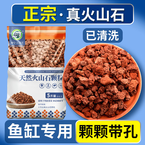 已精筛清洗鱼缸造景火山石