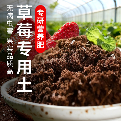 草莓专用有机专研营养土