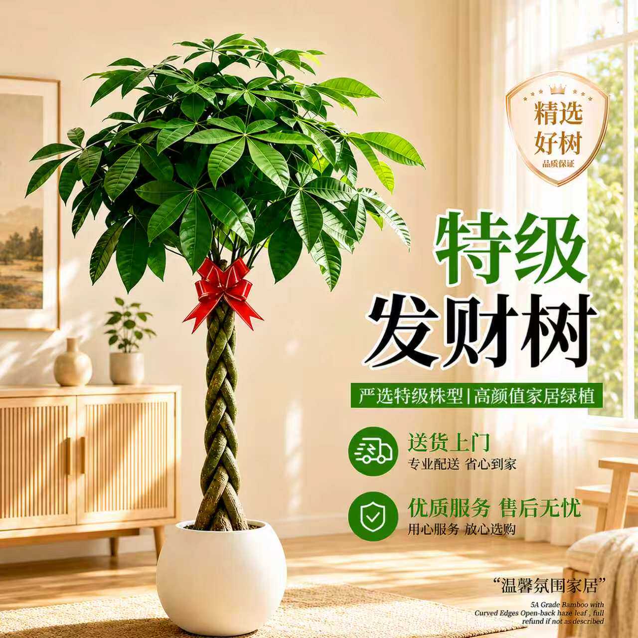 发财树盆栽大棵室内摆客厅大型步步高招财树绿植物办公室2026新款