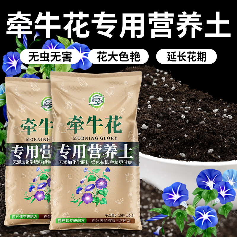 牵牛花专用土花大色艳茎杆粗壮