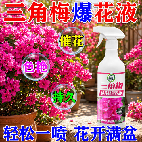 三角梅免稀释营养液促进开花
