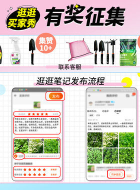 【逛逛买家秀征集点赞满10+】
