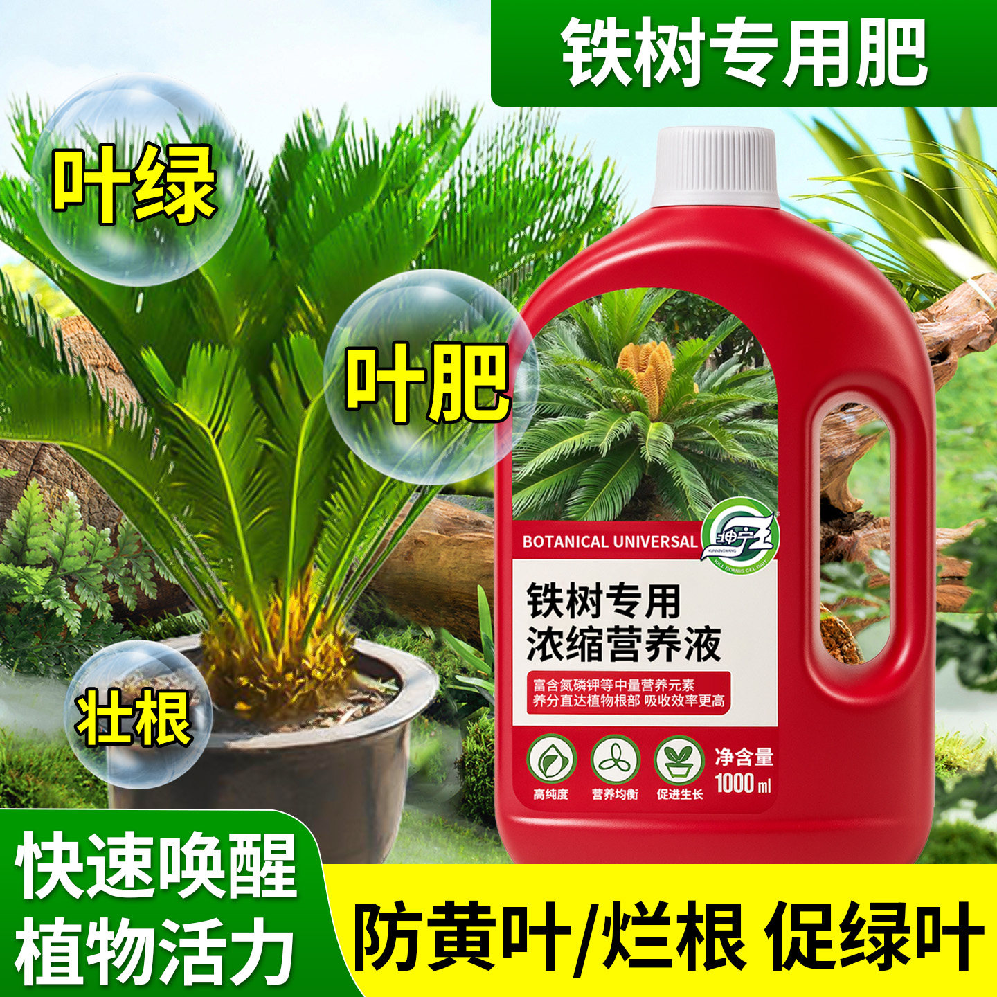 铁树专用肥家用绿植盆栽营养液防黄叶干尖烂根促绿叶植物复合肥料