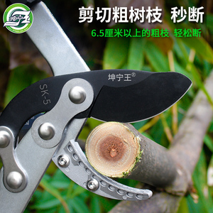 坤宁王园林剪枝剪刀剪树枝修剪园艺专用果树修枝粗枝剪大力剪强力
