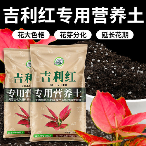 吉利红专用土有机养花营养土肥土