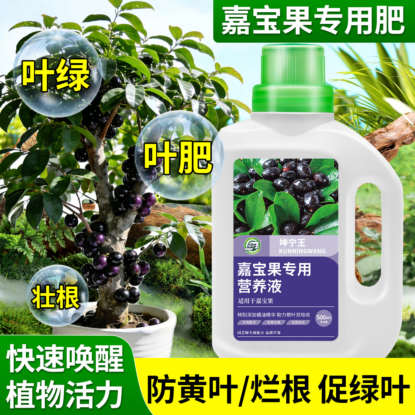 嘉宝果专用营养液家用园艺肥料防黄叶壮根促产催花保果叶面肥灌根,鲜花速递/花卉仿真/绿植园艺,家庭园艺肥料,淘宝优惠券,粉丝福利购,淘宝优惠卷