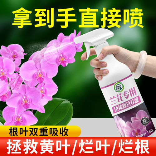 免稀释营养液兰花专用