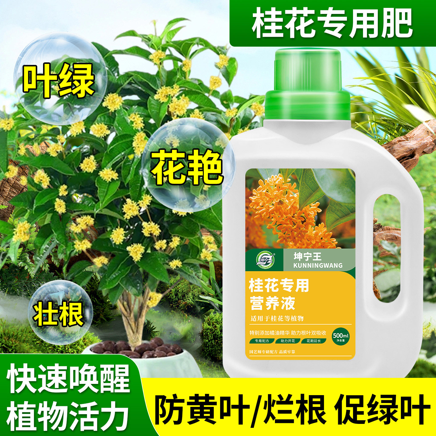 桂花专用植物营养液植物枯叶病叶子焦尖移栽通用金桂花卉盆栽专用,鲜花速递/花卉仿真/绿植园艺,家庭园艺肥料,淘宝优惠券,粉丝福利购,淘宝优惠卷