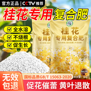 桂花专用复合肥料有机化肥氮磷钾三元 肥桂花树盆栽花肥家用水溶肥