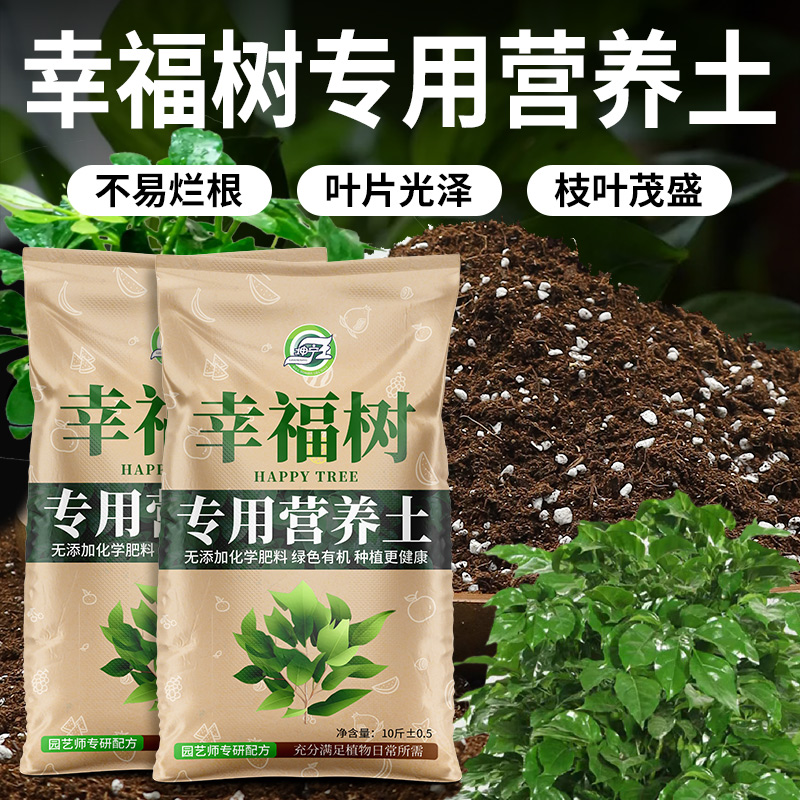 幸福树专用营养土叶绿根壮茂盛