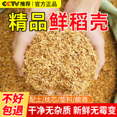 稻壳垫料新鲜谷壳天然粗糠种菜有机肥稻壳营养土种菜专用酿酒饲料