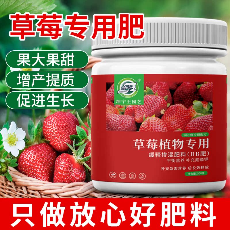 草莓大又甜就选专用肥