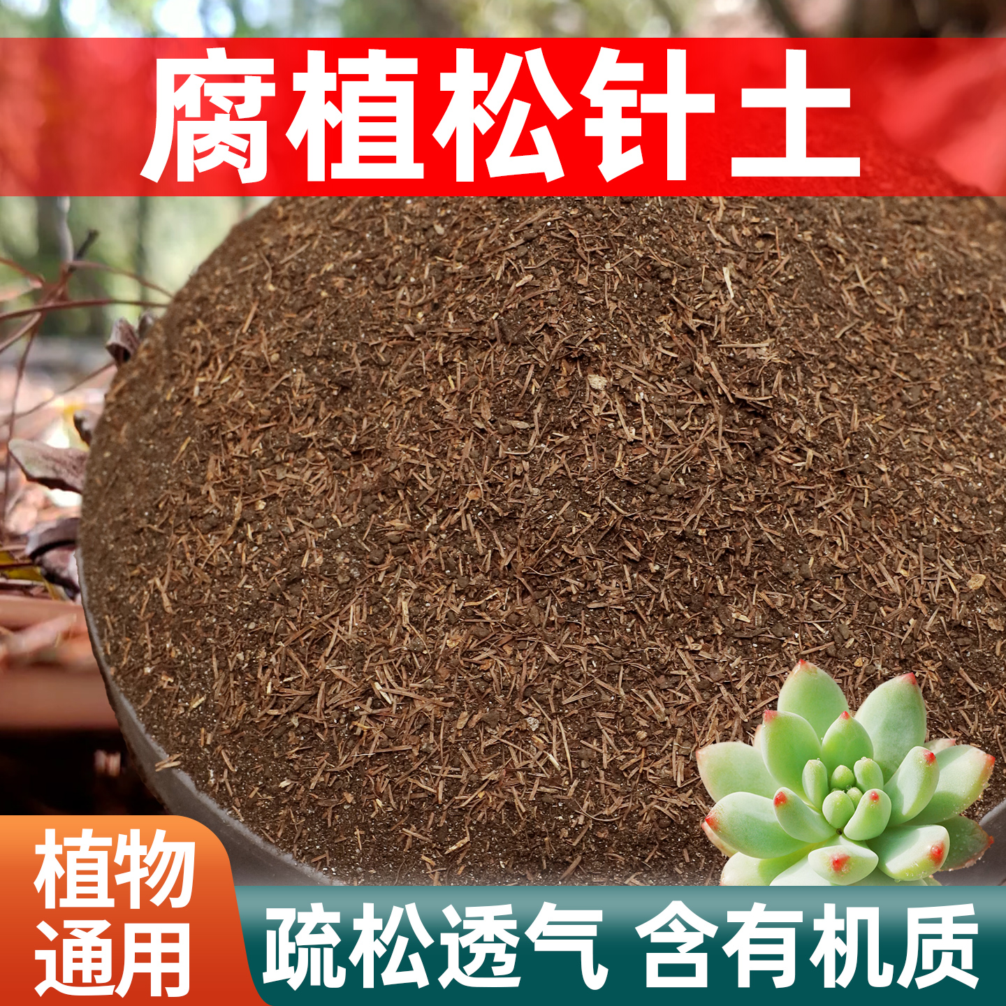 天然松针腐殖土发酵腐熟