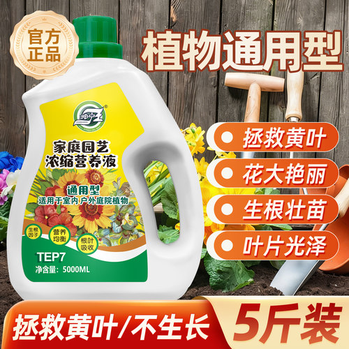【治黄叶绿叶促花】植物营养液