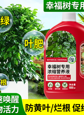 幸福树专用营养液肥料急救治黄叶落叶黑斑防掉叶干枯花肥盆栽液体