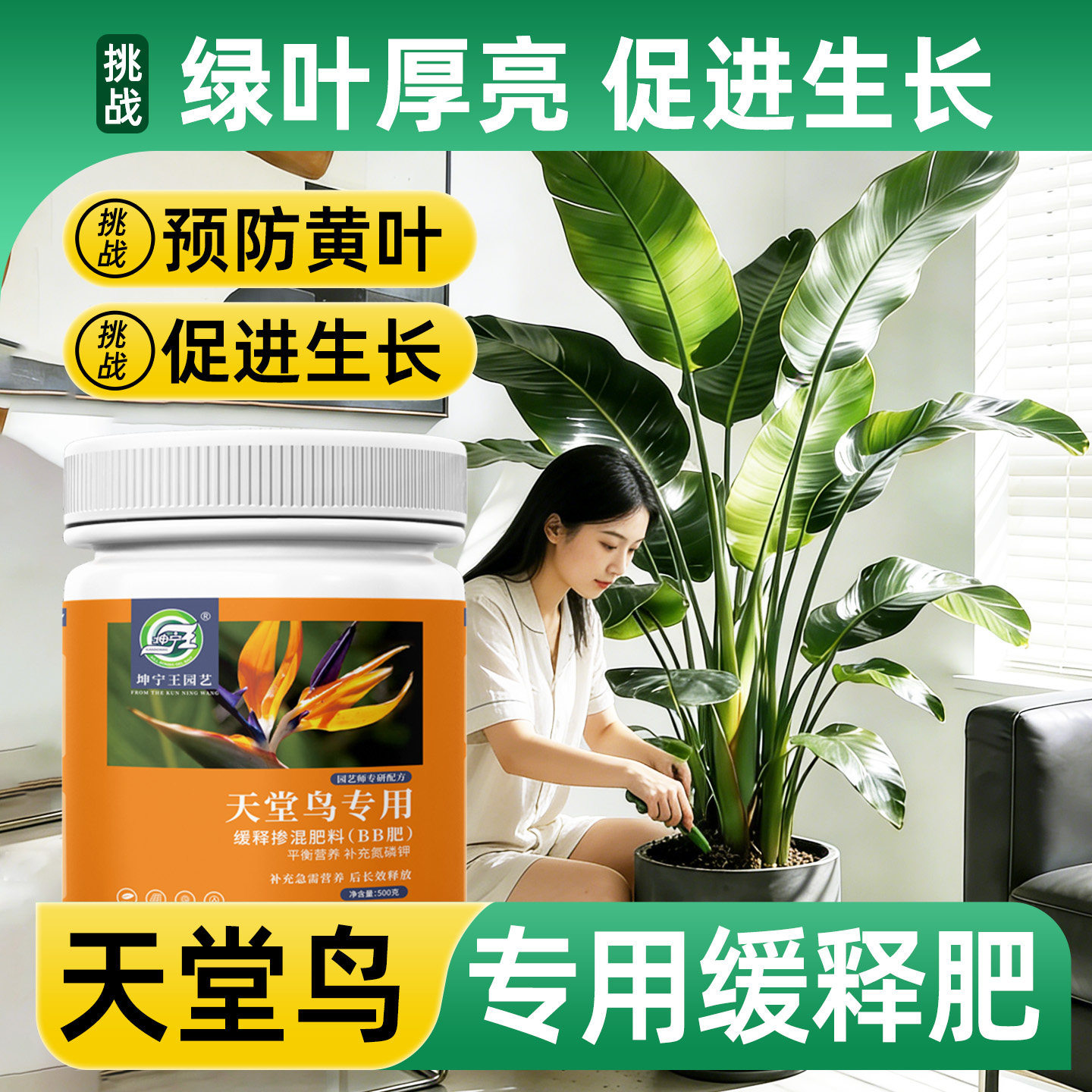 天堂鸟专用肥料促开花营养液复合肥花肥肥料通用养花缓释肥有机肥,鲜花速递/花卉仿真/绿植园艺,家庭园艺肥料,淘宝优惠券,粉丝福利购,淘宝优惠卷