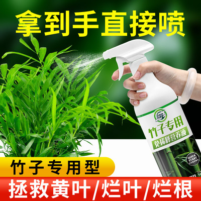 竹子免稀释专用营养液绿植通用