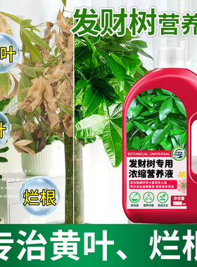 发财树专用营养液营养肥料叶子发黄掉叶黄叶枯叶烂根专用药水培