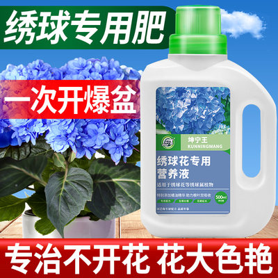 坤宁王绣球专用营养液促进开花