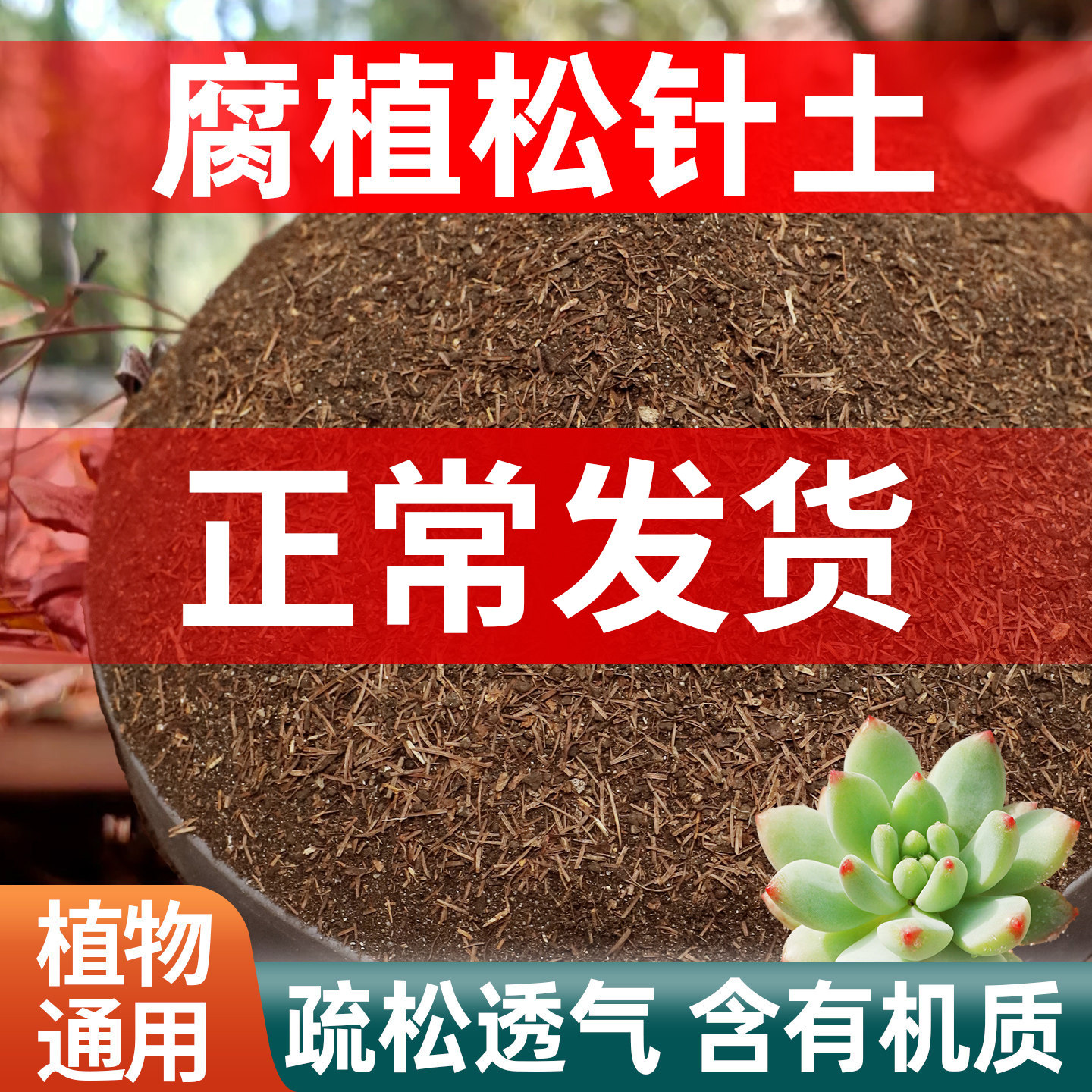 天然松针腐殖土腐叶土发酵腐熟兰花多肉专用营养土养花专用通用土